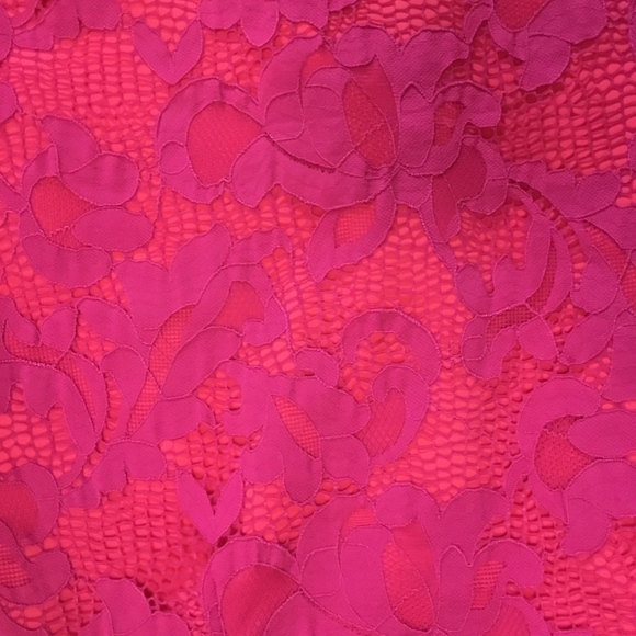 EUC MAIA CappedSleeved, Lace Overlay, V-Back Dress - Picture 6 of 7